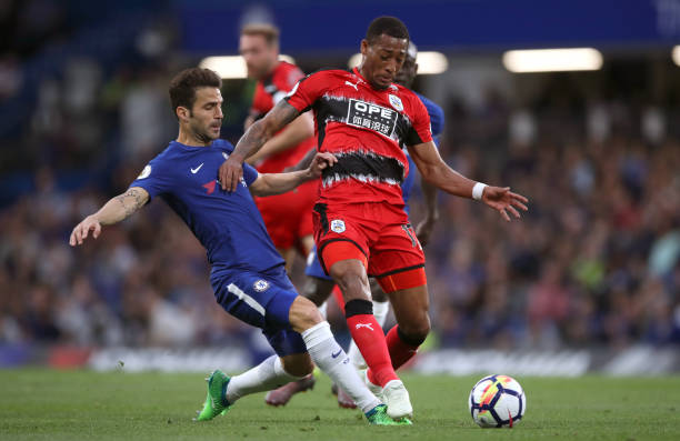 他们的关注 他们的关注