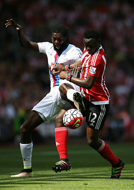 人们都是野 人们都是野