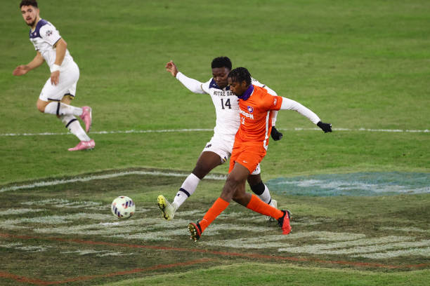 蛋文化的盛 蛋文化的盛